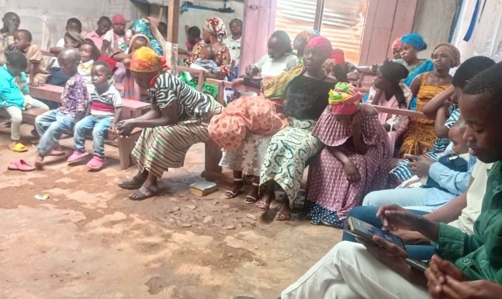 IGRM Democratic Republic of the Congo Weekly Impact Report