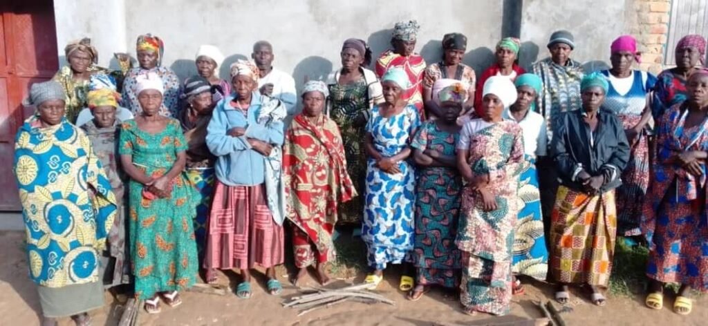 IGRM DRC Weekly Impact Report | October 20–26, 2025