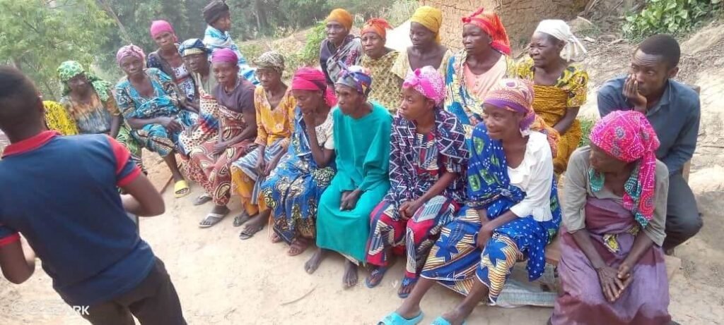 IGRM DRC Weekly Impact Report | November 10–16, 2025