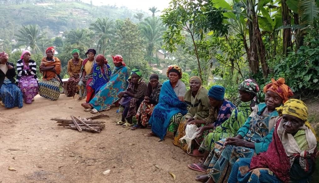 IGRM DRC Weekly Impact Report | November 24–30, 2025